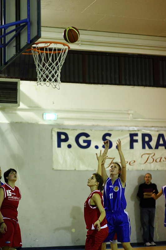 Basket 443006